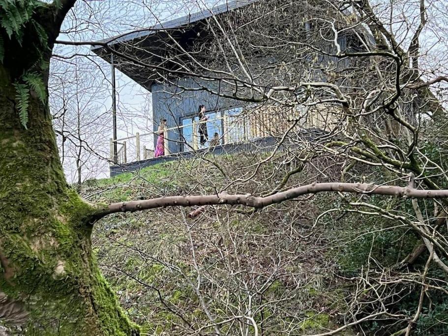Luxury Lodge In The Treetops Llanbrynmair Eksteriør bilde